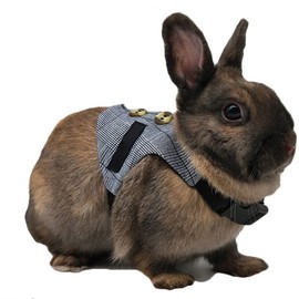 Rabbit Soft Breathable Harness with Lead, Pet Rabbit, Small Animal Walking Harness, Vest Lead (S)