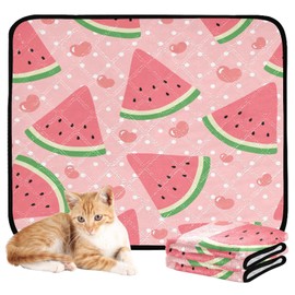 YETTASBIN Watermelon Washable Reusable Dog Cat Pee Pad, Pet Creat Mat with Non-Slip Bottom for Large Small Medium Dogs Cats, Absorption Leakproof Pet Training Pad for Food and Water, Smallx3