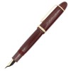 Gullor Fine Nib Fountain Pen X159, Acrylic Big Size Writing