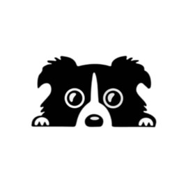 Car Sticker Border Collie Sticker 15 cm (5.9 Inch) Border Collie On Board Black Car Sticker Pet Dog Waterproof Sticker Border Collie On Board Sticker Bumper Funny Decor