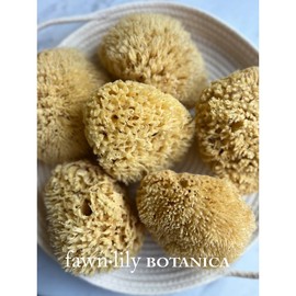 PREMIUM "DEEP SEA" WOOL BATH SEA SPONGES, NATURAL + SUSTAINABLE - NEW! - Form: Cut "Deep Sea" Wool Bath Sponge
