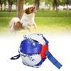 Interactive Outdoor Fly Ball Flying Saucer Ball Interesting Dog Soccer