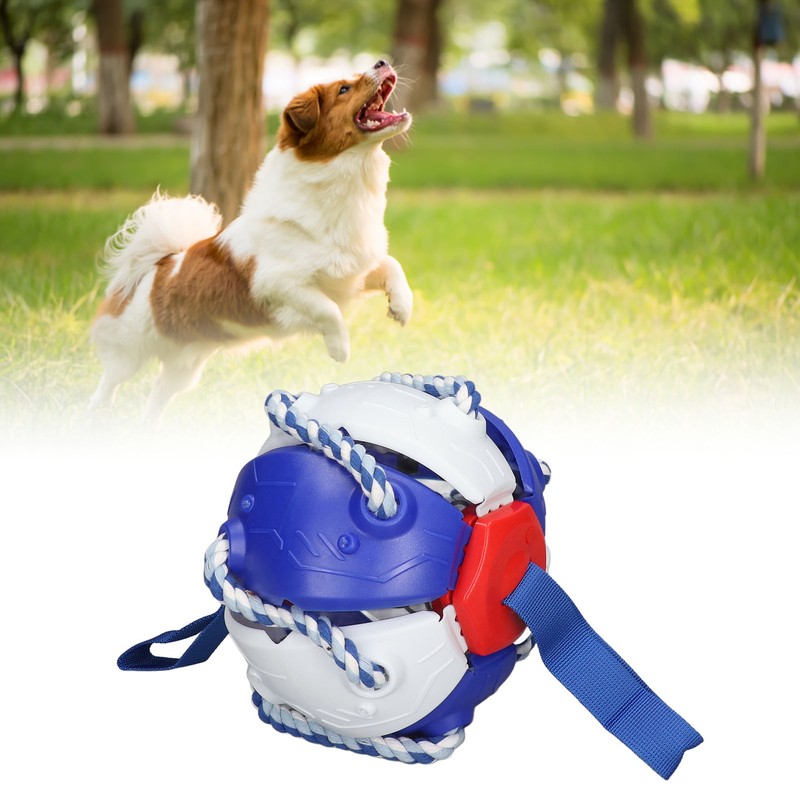 Interactive Outdoor Fly Ball Flying Saucer Ball Interesting Dog Soccer