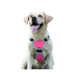EarthPETS Upgraded Lightweight No Pull Dog Harness with 2 Leash Clips, Adjustable Soft Padded, Fully Reflective Oxford, No Choke Pet Vest with Easy Control Handle for Dogs, Hot Pink, S