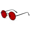 Inlefen Unisex Sunglasses, Round Retro Vintage Style Sunglasses with Coloured
