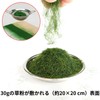 JnTech Artificial Grass Powder, Model Grass, 0.1 inch (3 mm/5