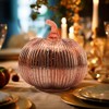 hvfun Rosegold Thanksgiving Decorative Artificial Pumpkins-Mercury Glass Light up Pumpkin