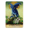Oracle Card Divination Field Guide To The Garden Dragons