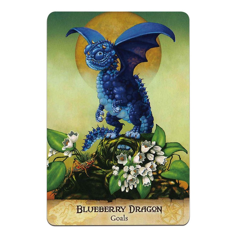 Oracle Card Divination Field Guide To The Garden Dragons