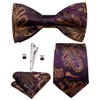 Hi-Tie Men Ties Bowtie Set Silk Necktie Bow Tie Pocket