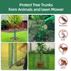 UCandy 6 Pack Plant Protector from Animals,17'' x 13'' Metal