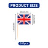 Pack of 100 Germany Flag Small, Germany Flag Toothpick with
