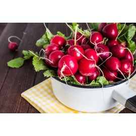 CEMEHA SEEDS - Red Ball Radish 20 Days Non GMO Vegetable for Planting