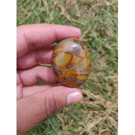 Stone City Bamboo Jasper Palmstone Crystal, Healing Stone, Meditation Crystal, Natural Stone (2.82 OZ / 80 Gm) (1.76 OZ / 50 Gm)