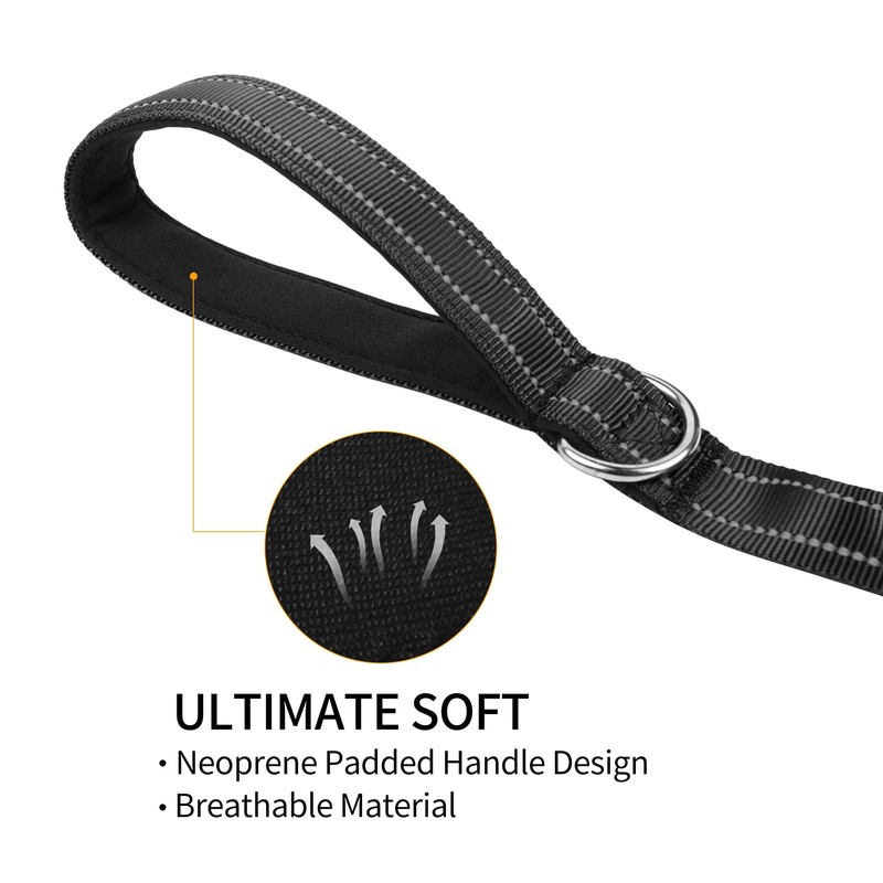 PWOD Double-Sided Reflective Nylon Dog Leash, 4 FT/5 FT/6 FT,