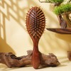 Hair Brush Wooden, Sandalwood Air Cushion Combs Eco Friendly for
