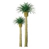 JTT Scenery Products Professional Series: Phoenix Palm, 8"