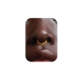BodyBonita 16G Spike Septum Piercing - 316L Stainless Steel Nose Piercing Conch Helix Piercings Jewellery Nose Ring Tragus Daith Cartilage Ear Piercing 14K Gold/Silver 8mm/10mm, Stainless Steel