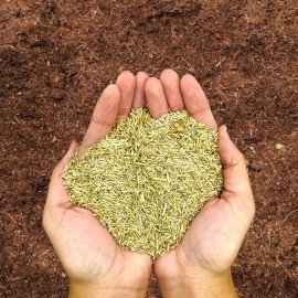 Semilla De Pasto 1kg =30m2 Sol Y Sombra Para Alto Trafico
