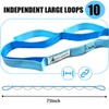 Stretching Strap Yoga Strap with Loops, Stretch Straps for Physical
