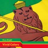 UD_Ethiopia Lion Ethiopian Flag 3x5 Ft 5-Pack 150D Printed Polyester