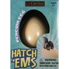 Geo Central Hatch'ems Penguin Egg - Grow Your Own Penguin Chick Pack of 2