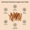 K-Herb Premium Korean Red Ginseng Sticks Liquid Portable Sticks with