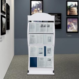 Treliamd Floor-Standing Magazine Rack Information Rack Storage Rack Newspaper Rack Display Rack Manual Book Rack Single Page Simple Iron