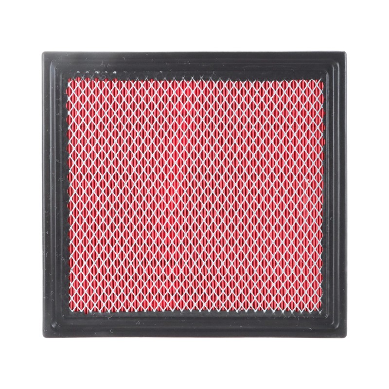 Rayten CA10262 Engine Air Filter Replacement For Ford F-150 Expedition