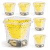 6 Pack Reusable Fruit Fly Trap, Non-Toxic Fruit Fly Catcher,