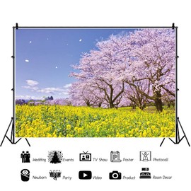 Qinunipoto Photography Spring Cherry Blossom Blue Sky Flower Backdrop 2.1m x 1.5m Merchandise Photography Backdrop Japanese Japanese Photography Props Live Broadcast Photography Backdrop Decoration Backdrop Paper Wall Fabric Background Props Vinyl