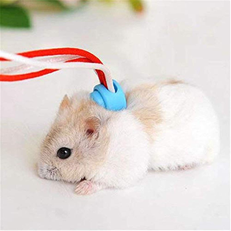 Zittop 1PC Small Animal Leash Lead Harness Rope Hamster Rat
