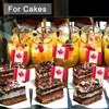 100 Pieces Canada Flag Toothpicks, Small Food Cupcake Topper for