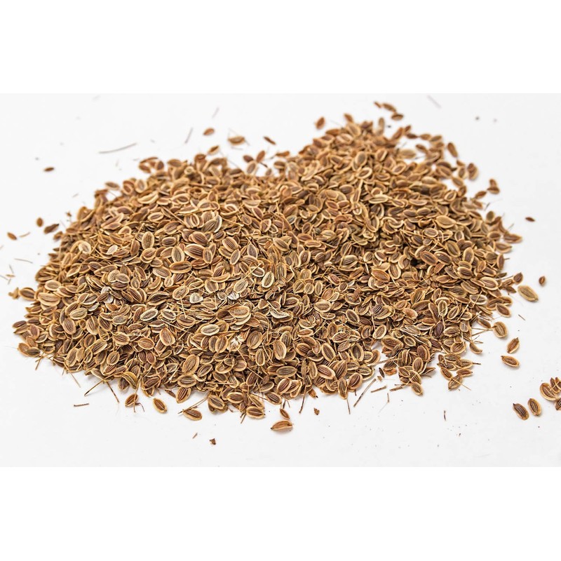 SAFLAX - Organic - Plain Leaved Parsley - 600 Seeds