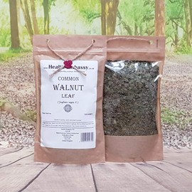 Common Walnut Leaf (Juglans regia L. – Juglandis folium) - Health Embassy - 100% Natural (50g)