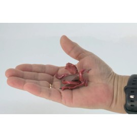 Collectible Wildlife Gifts Kraken Toy Giant Squid Shipwreck Rubber Model, Toy, Gift, 2.75" F4234 B376