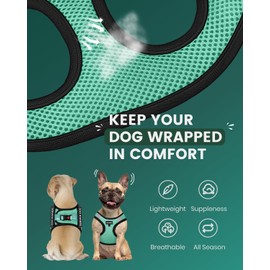 FAYOGOO Dog Harness for Small Dogs - Lightweight Service Dog in Training Harness with 6PCS Removable Patches - Puppy Harness for Walking Training