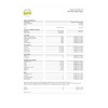 Rice Protein Organic 80% Protein 400 g - Vegan Protein