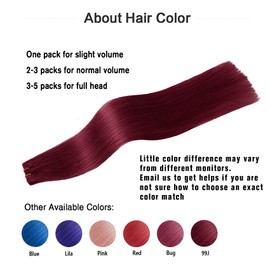 Tape in Brazilian Human Hair Extensions 100% Remy Human Hair Glue in Extensions Balayage Seamless Silky Straight Skin Weft Hair(16Inch #99j Red Plum 20pcs 30g)