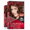 REVLON COLORSILK BEAUTIFUL COLOR - MEDIUM GOLDEN CHESTNUT BROWN #46