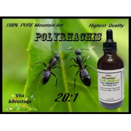 Vita Advantage 100% PURE  WILD Mountain Ant Vic. Roger  Polyrhachis 20:1 tincture/Extract 4oz