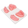 Dental Suture Practice Kit Oral Suture Gum Training Pad Model