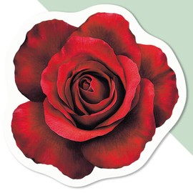 4 x Small 50mm 'Red Rose Top View' Permanent Sticker Decals for Cars/Windows/Bins/Walls etc (DW00133560)