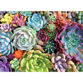 Amison 5D Diamond Painting 5D DIY Perforación Completa de la Pintura del Diamante Punto Cruz Pegatinas pared para Decoración estar Diamond Painting Diamante Redonda Set Arte Kit Arte Diamond Painting Plantas Suculentas