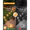 Pesken Outdoor String Lights, 54FT(15+1) ST38 Patio Lights Waterproof IP65