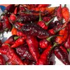 Naga Black Twister Pepper Premium Seeds for Planting Packet
