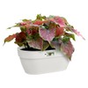 elho Vibia Campana Wall Basket 35 - Planter for Balcony
