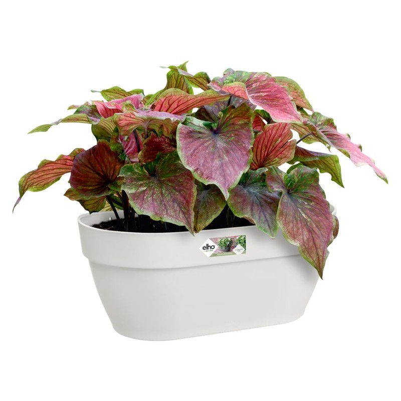 elho Vibia Campana Wall Basket 35 - Planter for Balcony