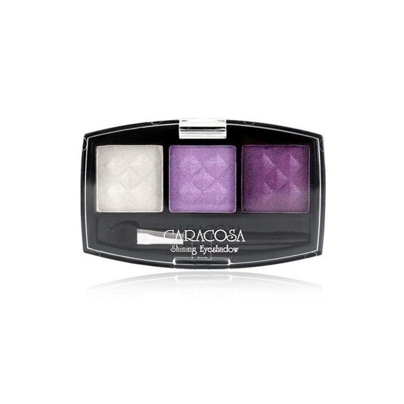 Harmonious Color Combination Triple Eyeshadow Kit No. 303