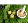 Naturevibe Botanicals Organic Amla Berry Powder, 8 ounce by Naturevibe